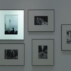 ‘‘Paris, France. 1989.’’by Elliot Erwitt