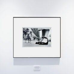 ‘‘Small dog standing by woman. New York City, USA. 1946.’’by Elliot Erwitt