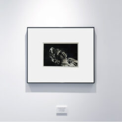 ‘‘American actress Marilyn Monroe. New York, USA. 1956.’’by Elliot Erwitt