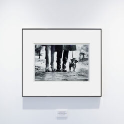 “New York City”,1974 by Elliot Erwitt