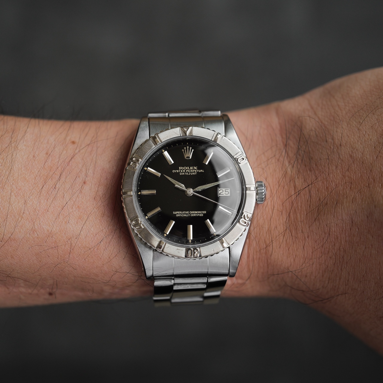 ロレックス/デイトジャスト6609/サンダーバード/ミラーダイヤル/WGベゼル/1959年ROLEX DATE-JUST Ref.6609 Turn-O-Gragh "Thunderbird" Gilt Dial 1959 - 画像 (2)